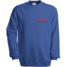 color:royal